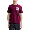 Calvin Klein Homme T-Shirts