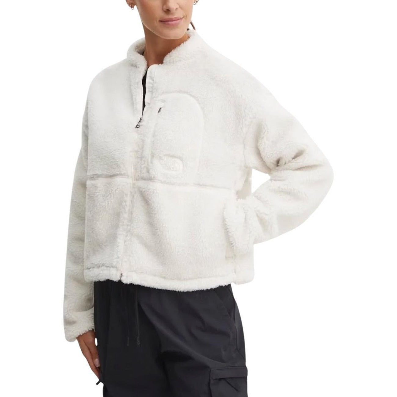 The North Face Femme Jaquettes
