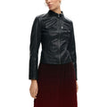 Desigual Femme Jaquettes