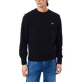 Lacoste Homme Pulls