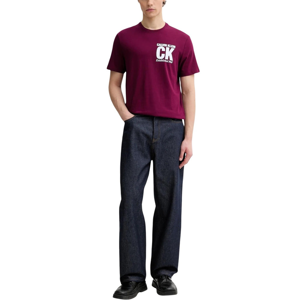 Calvin Klein Homme T-Shirts