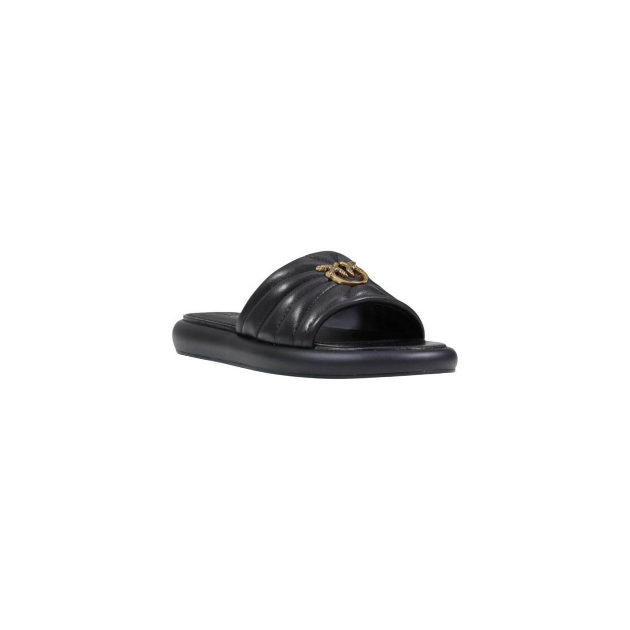 Pinko Femme Mules
