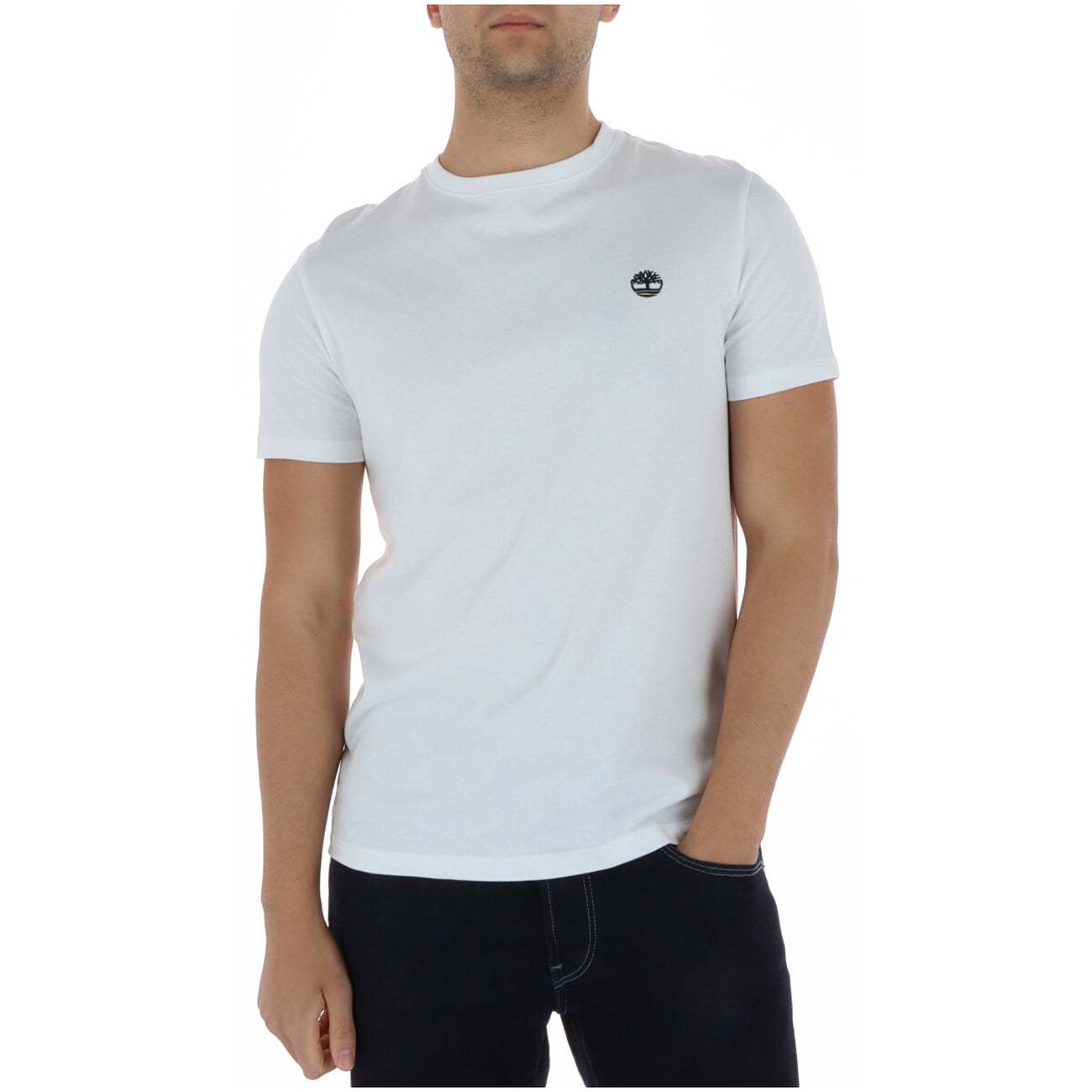 Timberland Homme T-Shirts