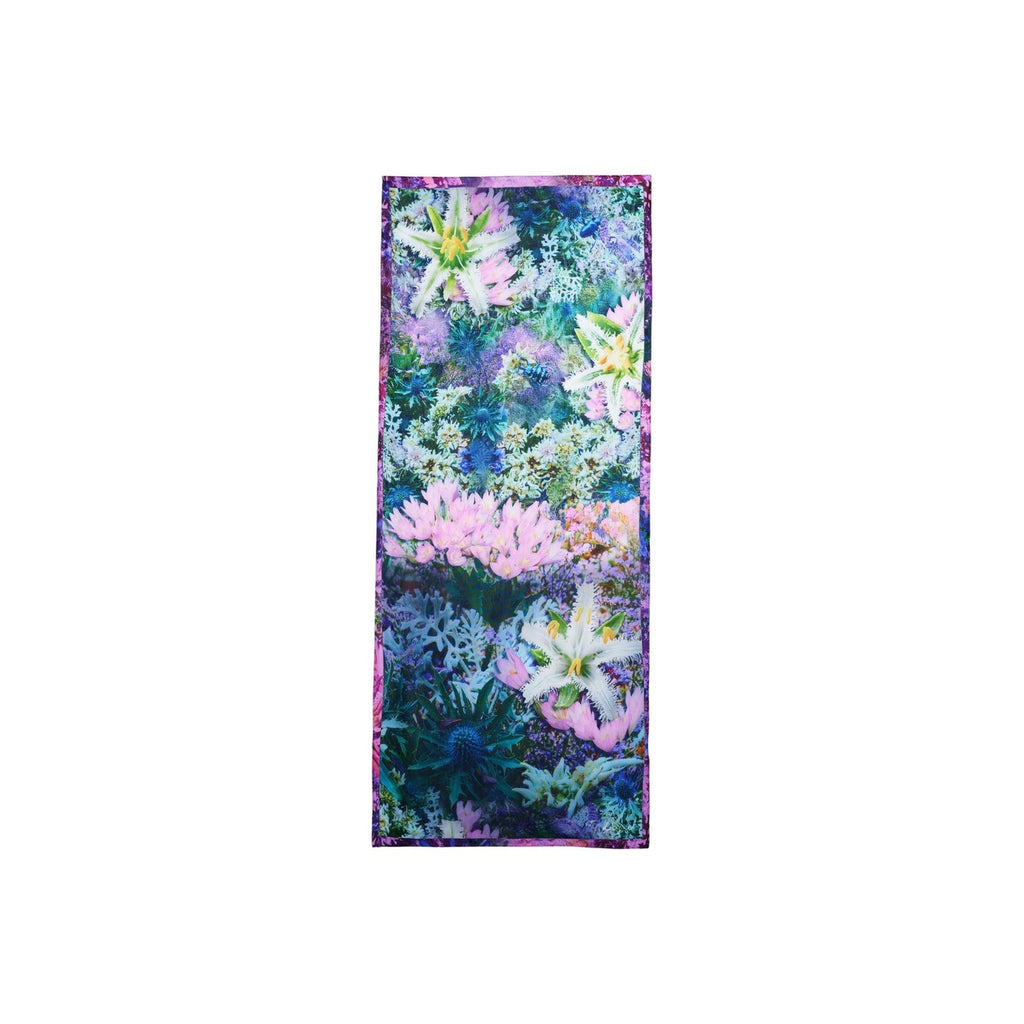 Desigual Femme Echarpes