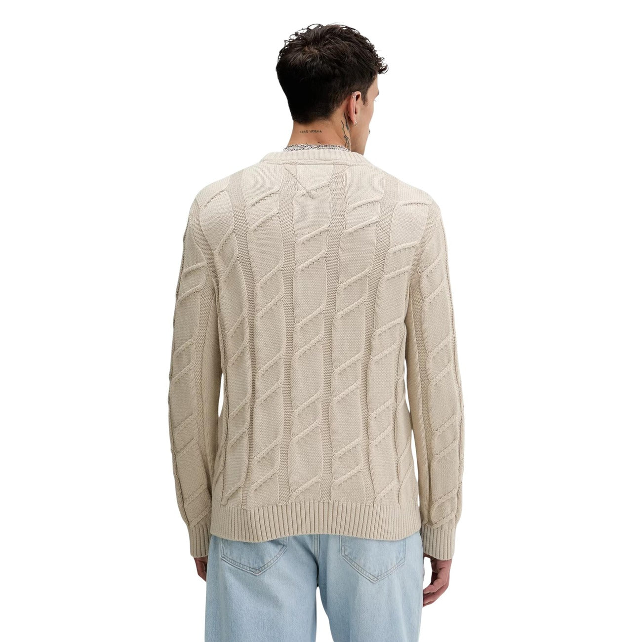 Tommy Hilfiger Jeans Homme Pulls