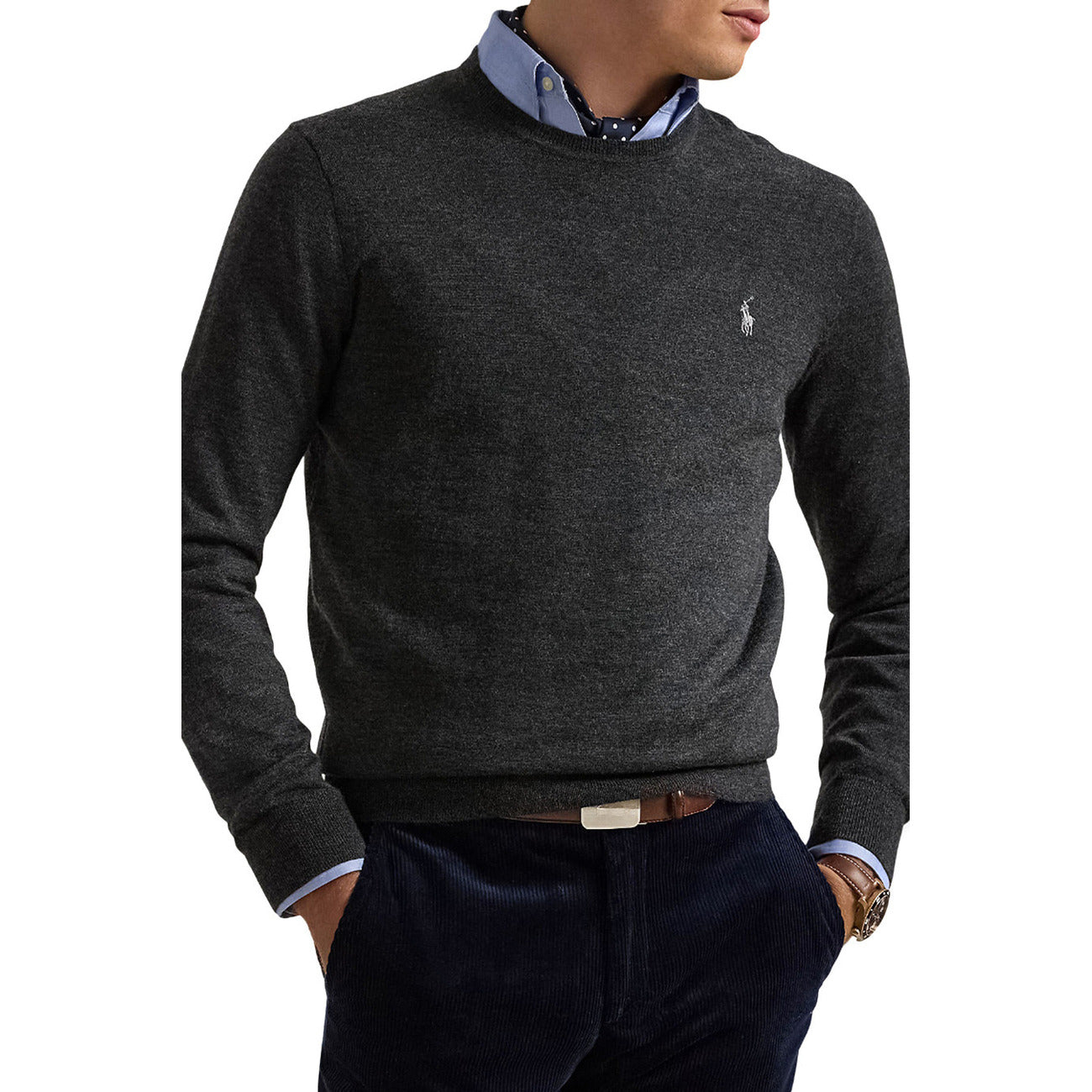 Polo Ralph Lauren Homme Pulls